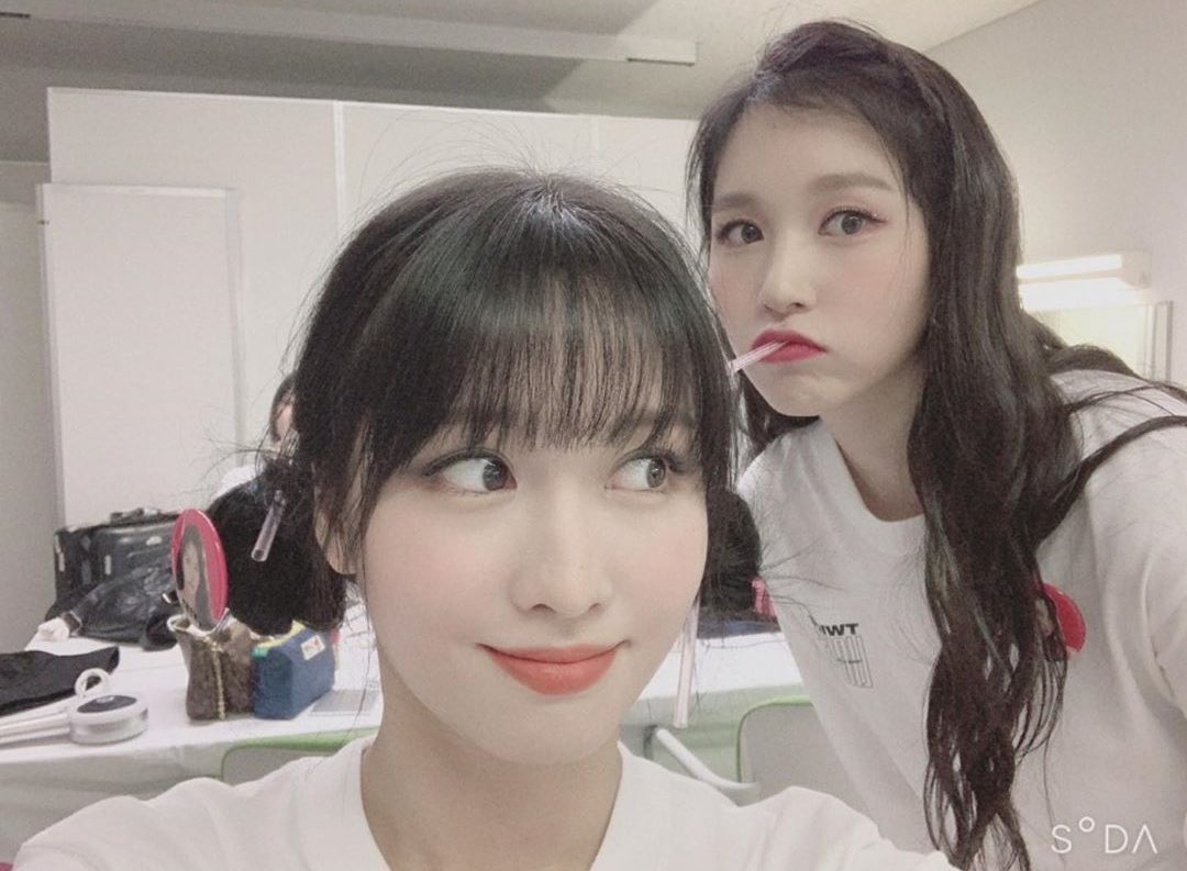 Mina pretending to drink from the straw that was placed in Momo’s buns.