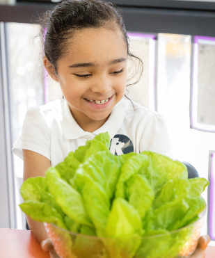 RethinkFoodUK's tweet photo. 97% of children don't eat enough fruit or veg. Children who grow their own food are FIVE times more likely to eat it. Our work connects children with fresh food in a positive and engaging way. Healthy people, healthy planet. https://t.co/slS13qnn6r