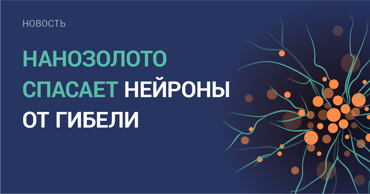 M9nmt's tweet photo. Итальянские ученые опубликовали исследование, позволяющее открыть позитивные перспективы в лечении разного рода неврологических заболеваний. 

Учеными были разработаны наночастицы золота, позволяющие уменьшить гибель клеток нейронов.

https://t.co/n43eWnt8qO

#новости #технологии https://t.co/2AlW0dyR8p
