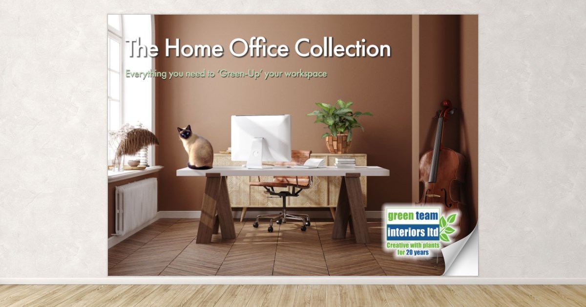 Plant_HQ's tweet photo. Plant of the week is the Dracaena Compacta, one of the most efficient plants in the world for purifying the air and one of the stars of our Home Office Collection. 
https://t.co/3NtXaIFkke 
#greenteaminteriors #plantoftheweek #dracaenacompacta #homeoffice #plants https://t.co/51PRGpkJr4
