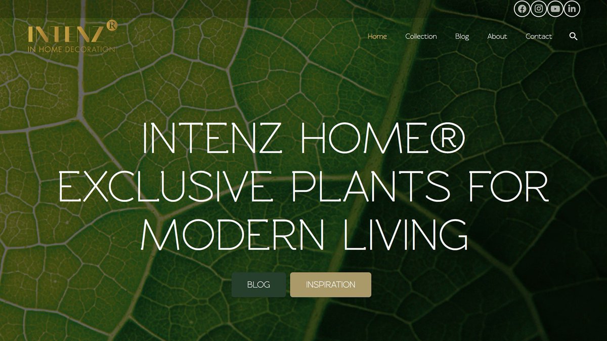 It's a wrap! De website van VDE plant in een nieuwe frisse jas! Een tropische plantenkwekerij van bijna 90.000 m2 en telen 30 verschillende soorten groene tropische planten en hydroponie oplossingen. Bekijk het resultaat op -> vdeplant.nl #spekglad #vdeplant #tropisch