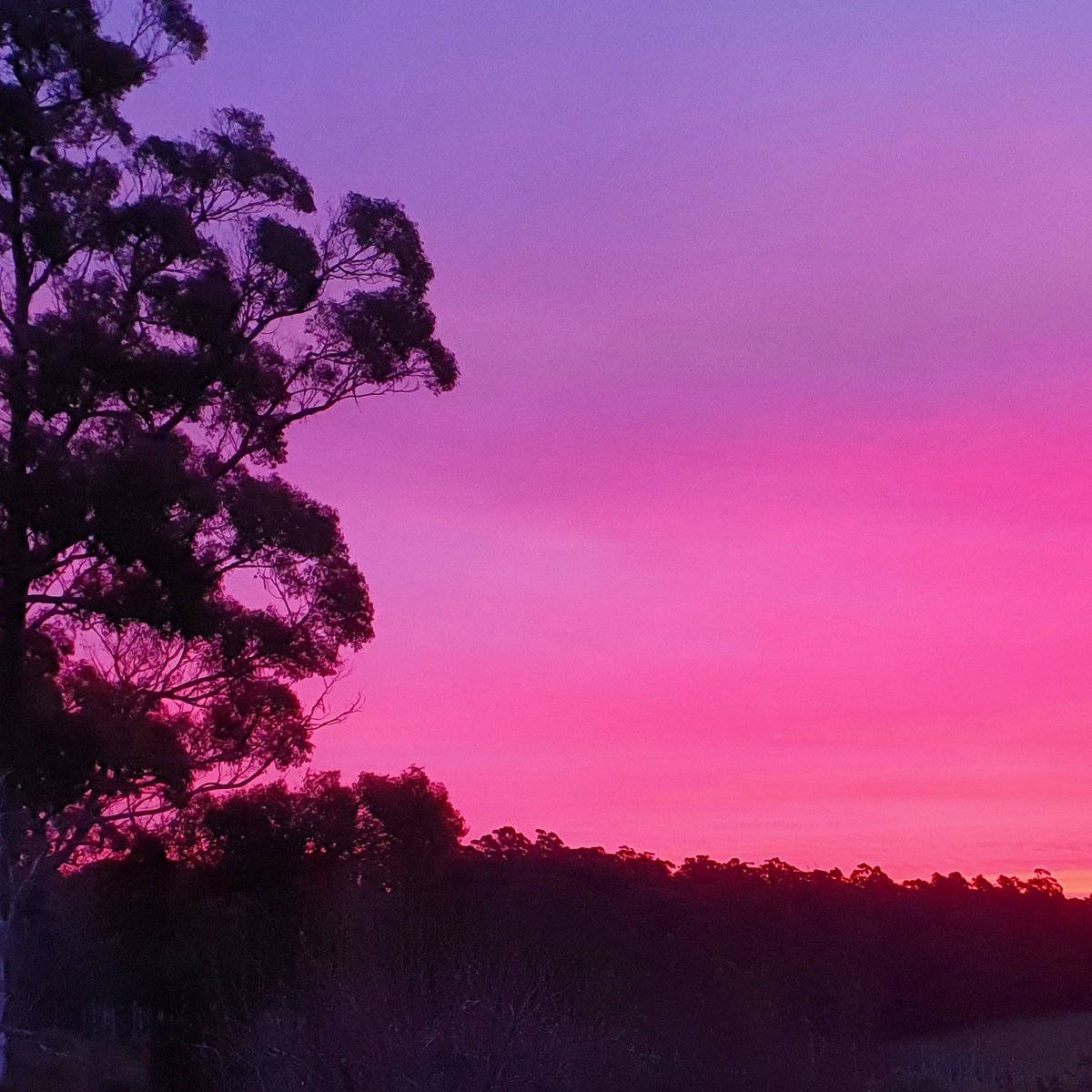 Sunsets are as gorgeous as sunrises in Tasmania. What a spectacle 💜
#sunsets #tasvegas #discovertasmania #tasmanianwine #tamarvalleywine