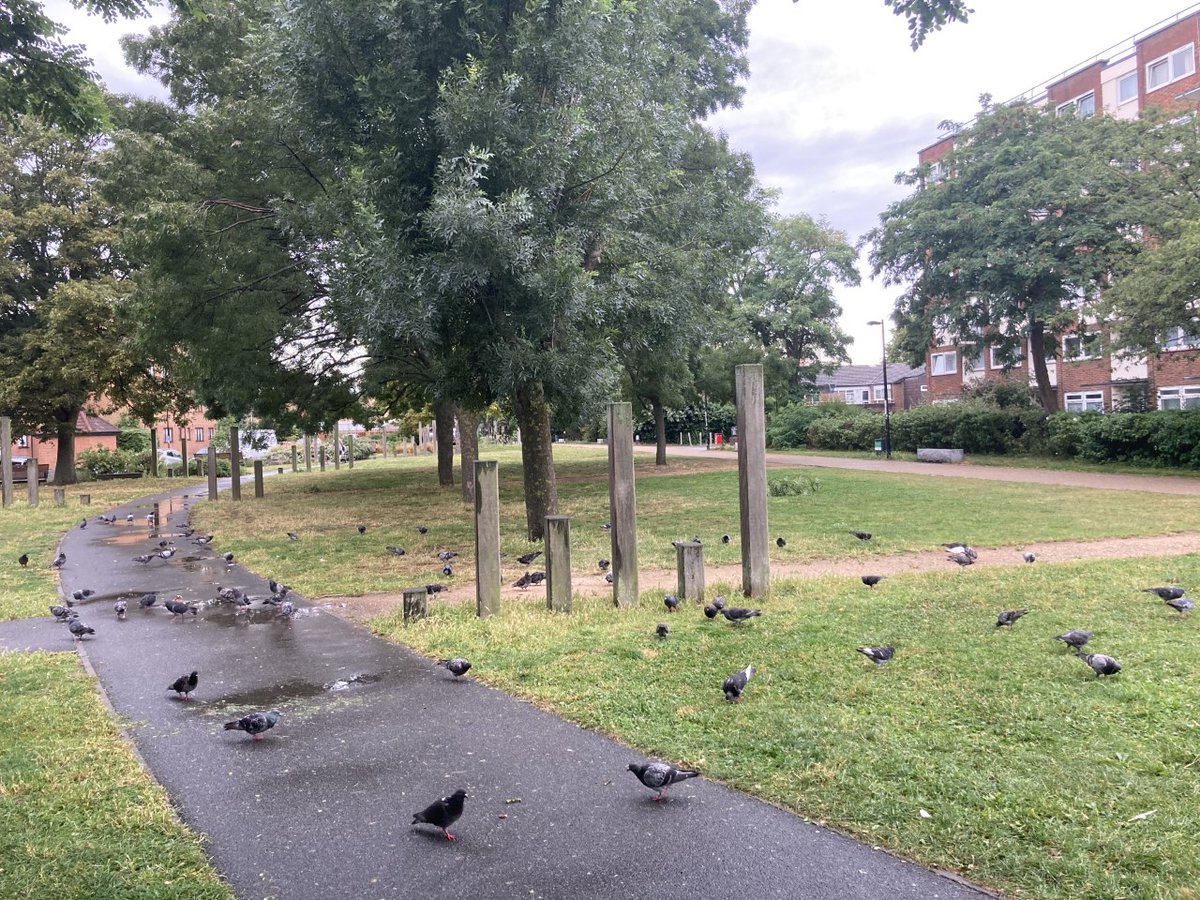 MMcMillanPark's tweet photo. You can always rely on a particular group to be using the park, regardless of the weather. #se8 #newcross #deptford #fommp https://t.co/mGgB6kcGkl