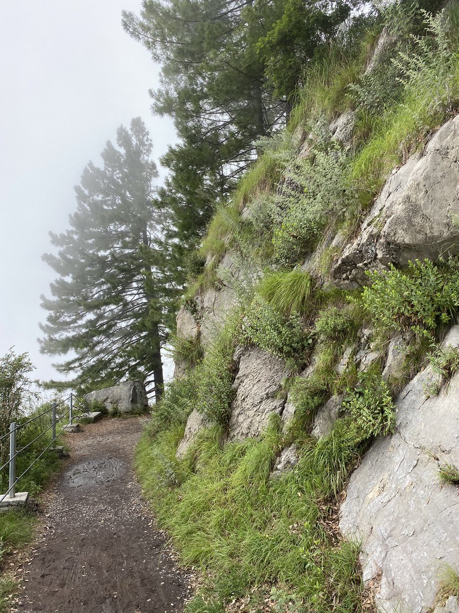 SyedaHayat1's tweet photo. #rawalpindi
#Murree 
Beautiful city https://t.co/6fGZZVTeIM