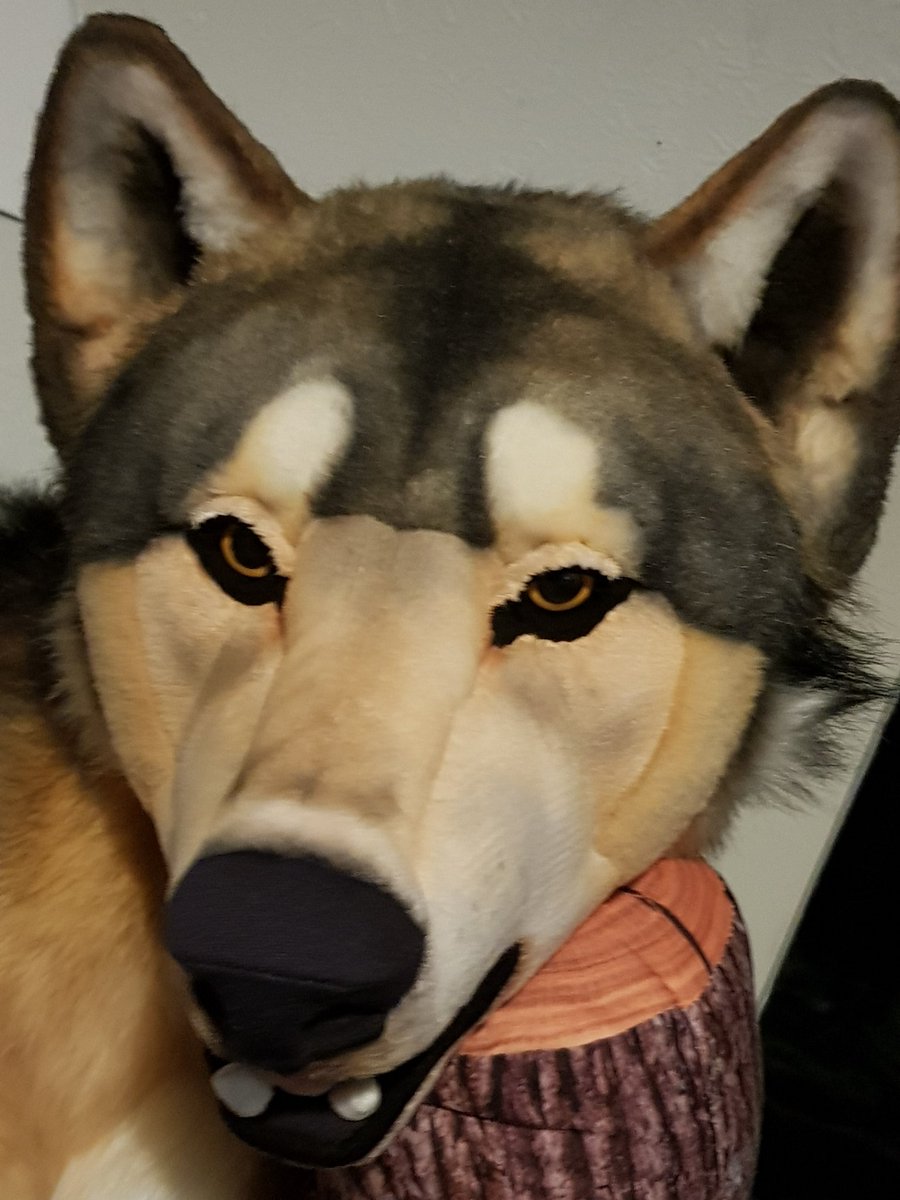 yellow_fr3ak's tweet photo. He is done!
Glam shots tomorrow in daylight https://t.co/oI9IflGMYw