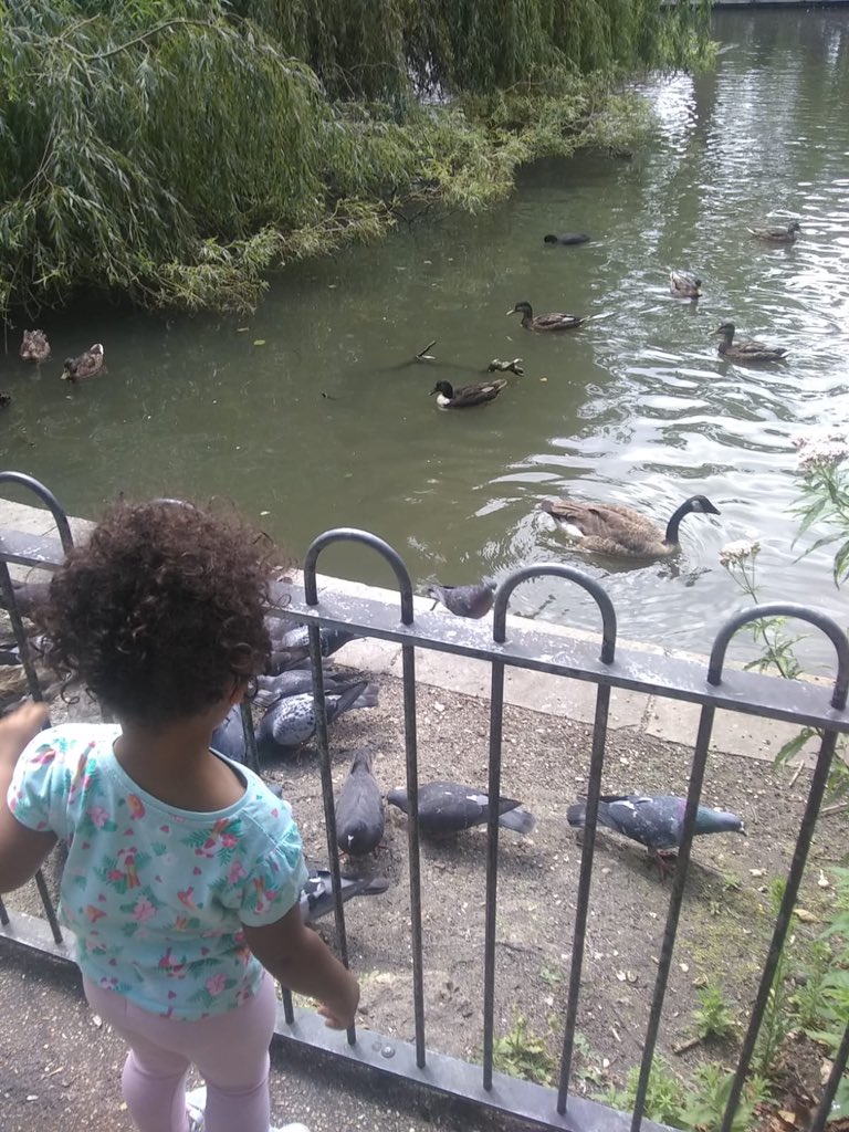 WHYCNunhead's tweet photo. We gave some lentils to a small visitor last week and she went straight up to @PeckhamRyePark to feed the ducks. #futureclubmember #socialaction https://t.co/68ogwylMeT