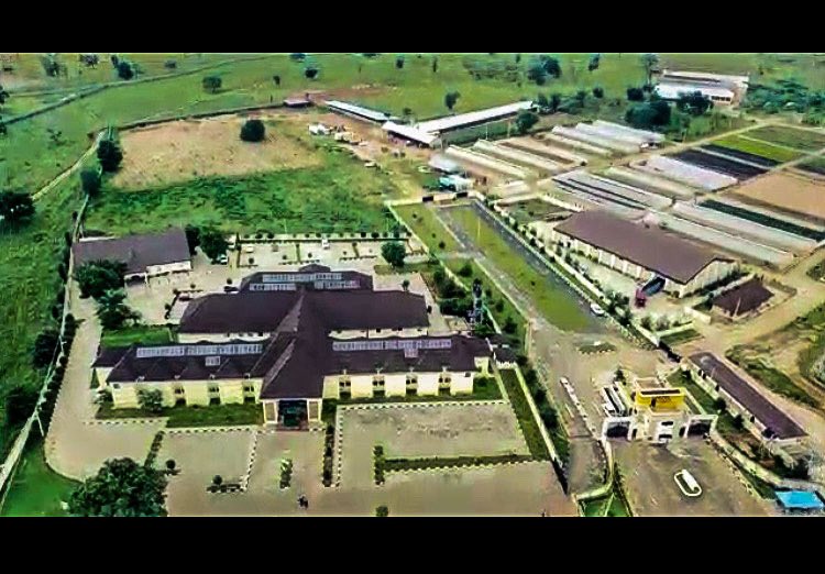 iamjamesbams's tweet photo. 📸 @CSSGroupnigeria 
#globalfarmingpix #agriculture #mordernfarming #farmers #farming  #farmersareheroes #globalfaming #nigeriafarmers #nigerianfarmers #farmersmarket #farminglife #farmingtechnology #technologyfarming #cssfarm https://t.co/5r5e9Vxe9P