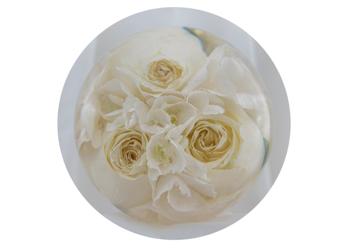 preservedintime's tweet photo. 50 gift vouchers worth £50 off your flower preserved , brides getting married up to 31st December 2020. pm us for details on how to enter https://t.co/oWnondV3Jv