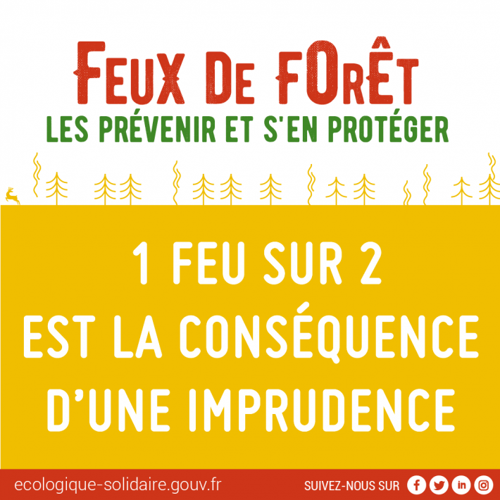 Prefet77's tweet photo. #forêt #fontainebleau 
2 départs de #Feu ce matin. 
Le Préfet de #SeineEtMarne, le @Sdis77 et l'@ONF_Officiel vous invitent à la plus grande prudence surtout en période de fortes chaleurs.
Il est interdit de fumer &amp; de faire un barbecue en forêt de @VilledeFbleau 
Merci ! https://t.co/Qdi4RKkJLx