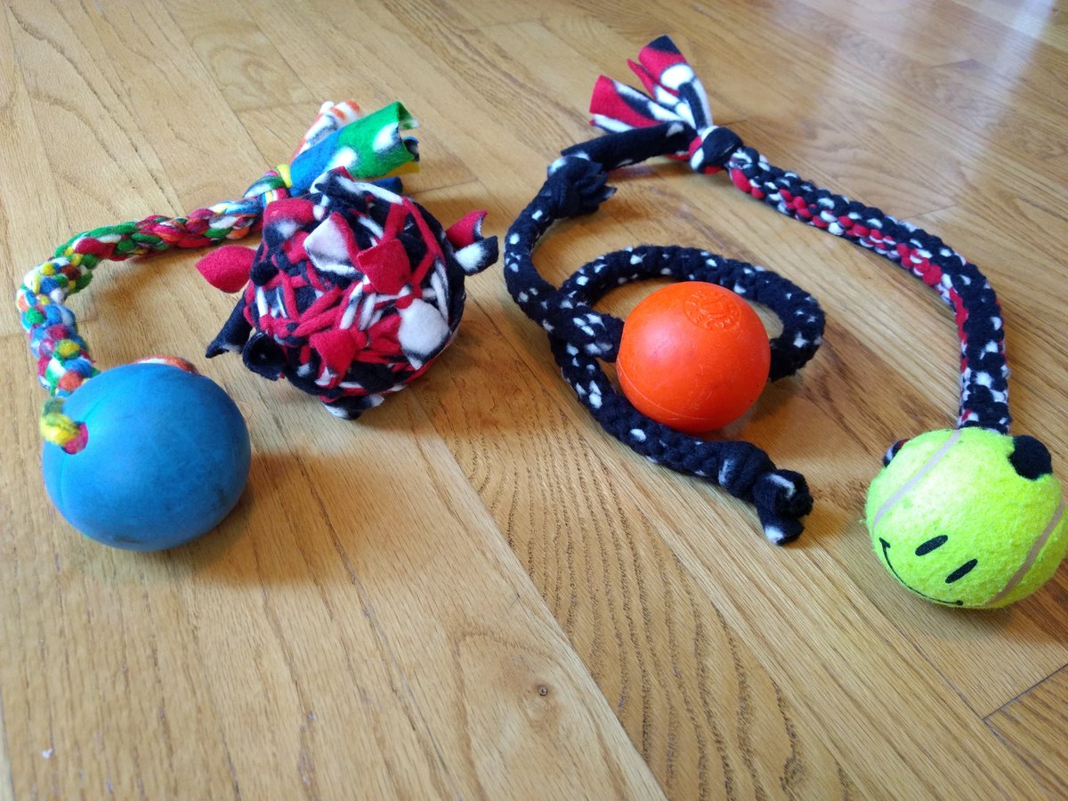 RoadRulesCamp's tweet photo. Today's project: pet toys to be donated to the NE Humane Society, Muddy Paws Second Chance Rescue, and more! Send us your pictures so we can share in the experience! https://t.co/pAfr2t2Zwt