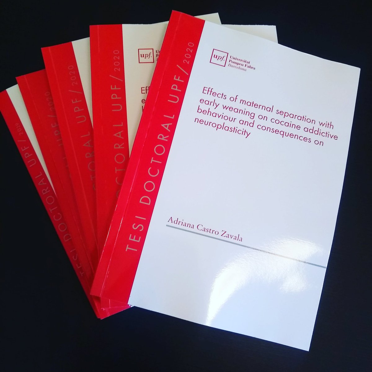 adriana_caz's tweet photo. After five years, a pandemic and a lockdown later, my doctoral thesis is ready! 👩🏻🔬🐀🧠📝 #phdthesis #UPFproud #PRBB #phdlife #womeninscience #WomenInSTEM #GRENEC #GRENECneurobio @UPFbiomedia @the_prbb @Grenec_NeuroBio https://t.co/Ps6zGEeGqZ