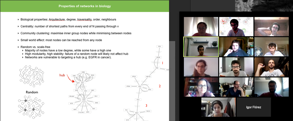 cragenomica's tweet photo. At CRAG, #training continues and is now held online! Last week, the #MolecularDataAnalysis area gave a course on "Network analysis and modelling: introduction to #SystemsBiolgoy" coordinated by @martibbff 🖥️🔎🧬 https://t.co/SyZI68TJqm