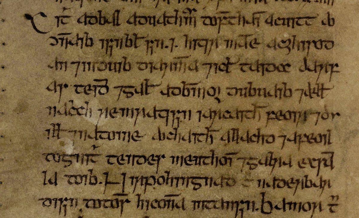 ‘A heavy and terrible shower fell …brought about disease and very great sickness among the cows & beasts of those regions after they had eaten grass & leaves; and when men drank of the milk of these cattle and ate of their flesh, they suffered internal pains & various diseases’