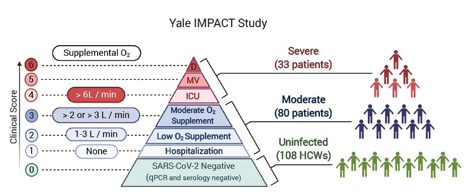 In this study, we enrolled COVID+ patients and analyzed their immune responses and viral load over the course of their hospital stay. We also compared samples from COVID- healthy health care workers (HCWs) as comparison. (2/n)