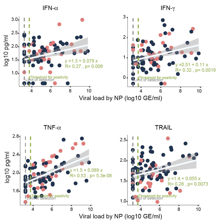 Is it that patients with severe disease fail to produce antiviral interferons? No! They are making more interferons and other innate cytokines in response to viral load, suggesting that these  #IFNs are not able to control virus in patients. (8/n)