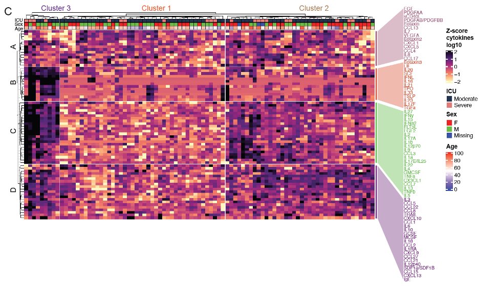 Ed7-jguWsAI_tyn?format=jpg&name=medium