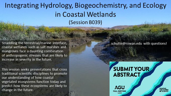 Ryann Rossi tweet media