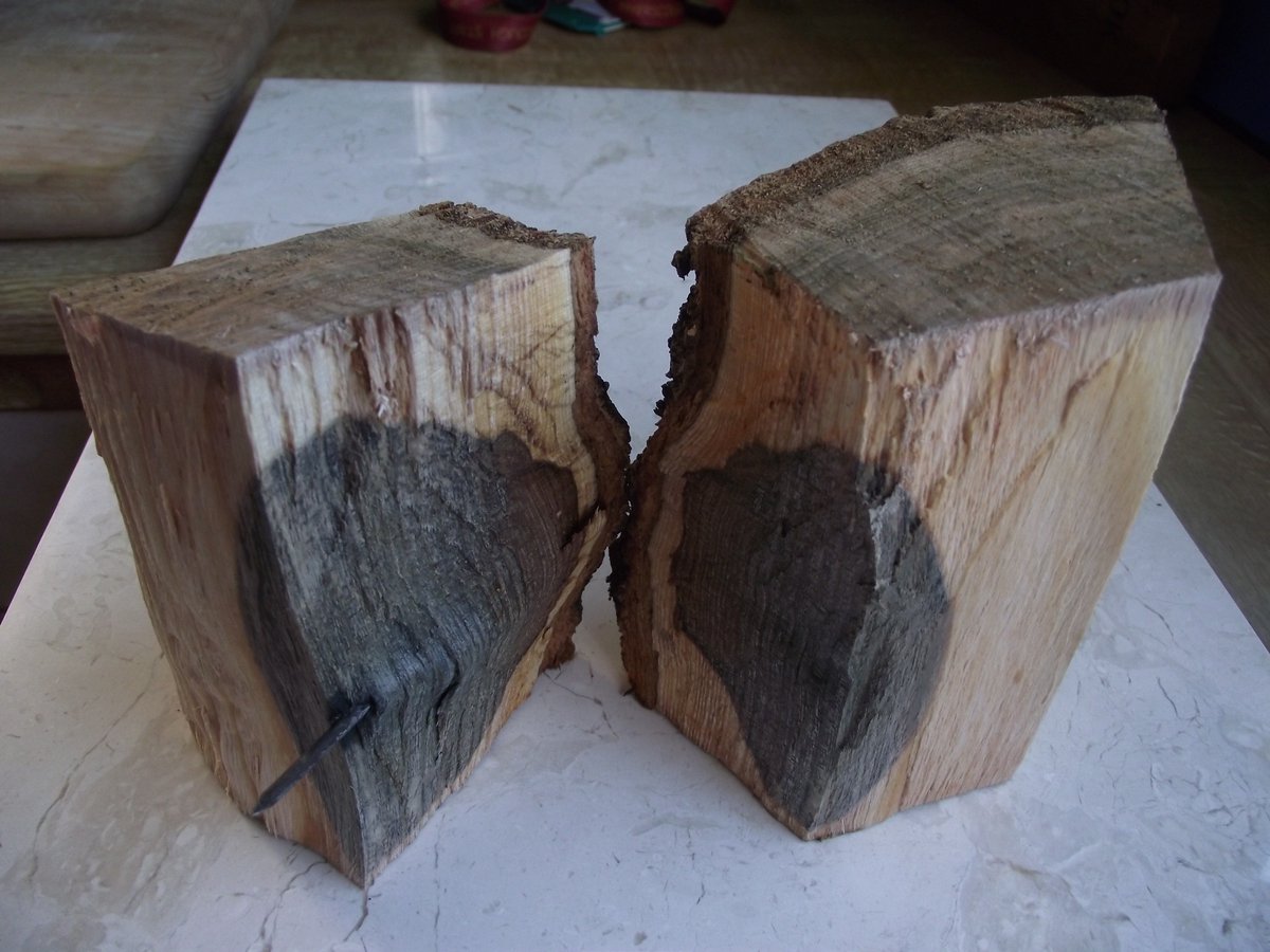 OlsonTreeCare's tweet photo. #Metal in #trees has the following negative effects. 
Spread the word!

1. #Girdling/Strangling 
2. #Cellular Growth Disruption
3. #Vascular Disruption
4. #Decay
5. #Structural weakness
6. #contamination 

Photo credit to Duncan Slater PHD https://t.co/5Bwtpwh8vn