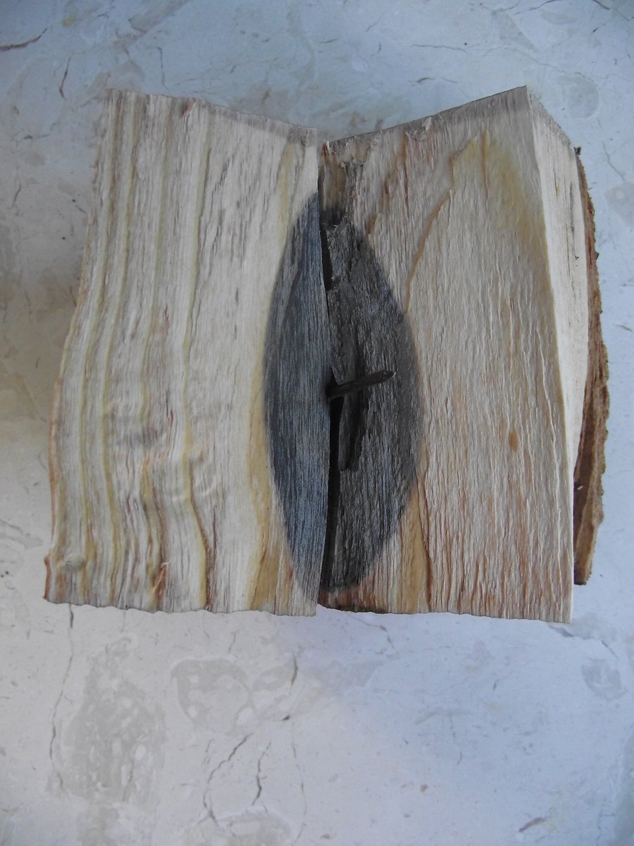 OlsonTreeCare's tweet photo. #Metal in #trees has the following negative effects. 
Spread the word!

1. #Girdling/Strangling 
2. #Cellular Growth Disruption
3. #Vascular Disruption
4. #Decay
5. #Structural weakness
6. #contamination 

Photo credit to Duncan Slater PHD https://t.co/5Bwtpwh8vn