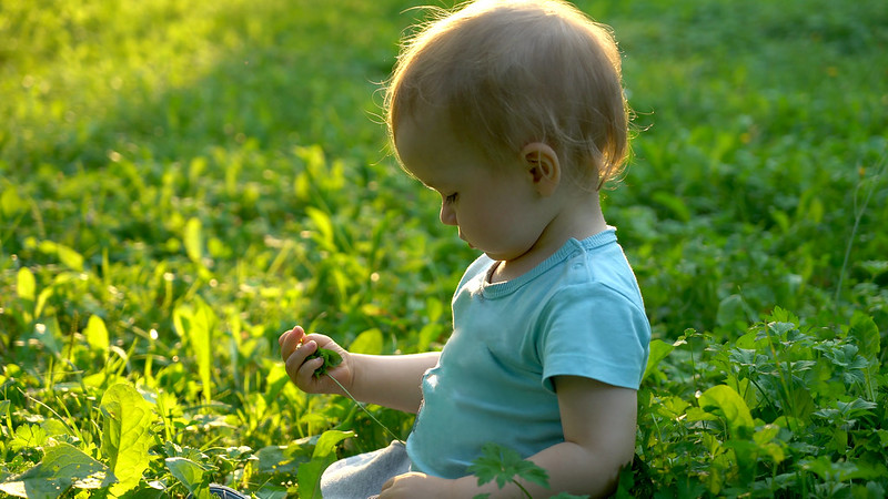NDNAtalk's tweet photo. The outdoors is full of rich enticement and learning opportunities for babies and even the very youngest will respond to the difference in the outdoor environment.

Our #myNDNA tips this week are all about #outdoorplay for babies and toddlers: https://t.co/hGZHmCjxKY https://t.co/iv4utAM7cv