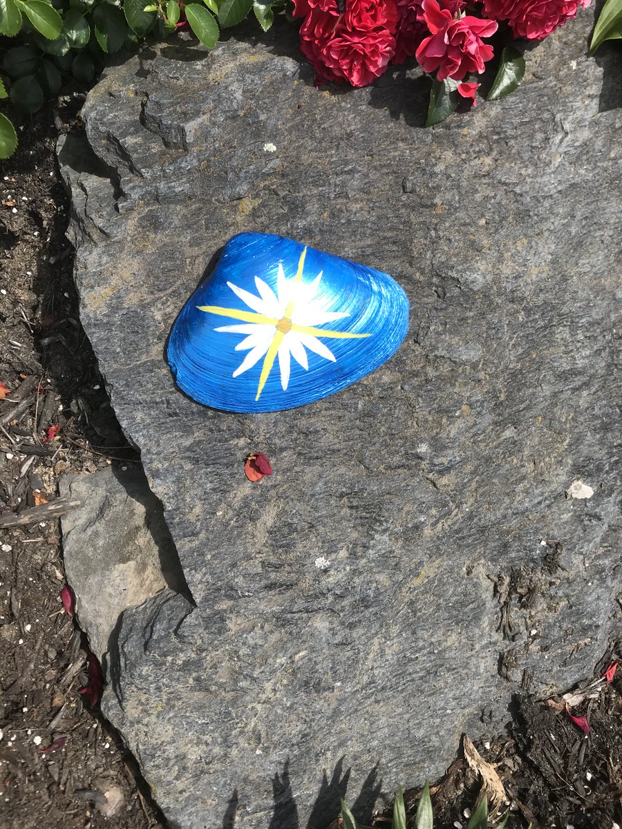 WavesResortOOB's tweet photo. We were tending to our gardens and discovered that someone left us this lovely painted shell. 🐚 

Thank you for brightening up our grounds with your artistic expression! 🌺 🌸 🌼

#oldorchardbeach #maine #oldorchardbeach #oob #oobmaine #oldorchardbeachmaine #waves https://t.co/37Wi9Ab2IT
