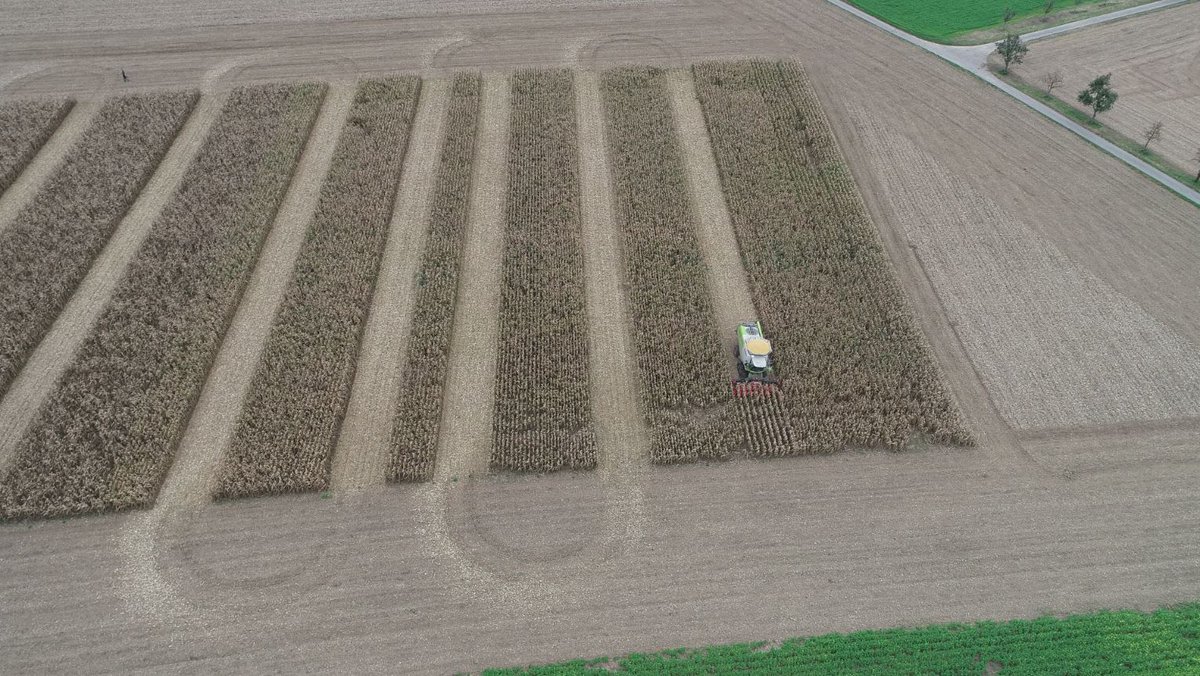 Geringhoff's tweet photo. Have you ever considered planting narrow row corn? Visit https://t.co/nm7PTgyBRs to learn more!
#Geringhoff #agriculture #cornproduction #OhioState #narrowrowcorn #corn #plant21 https://t.co/Rj3PSFizKB