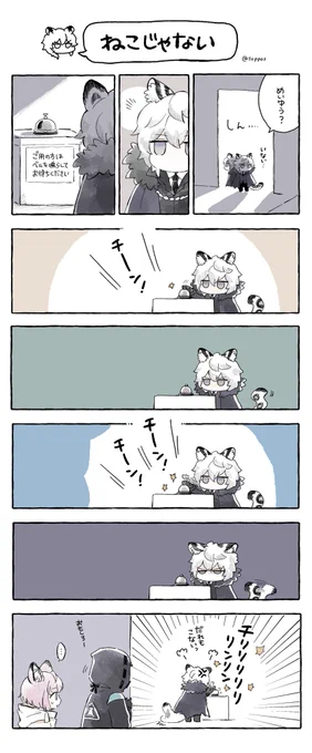 なぜか小さいシルバーアッシュくん(ねこではない) 