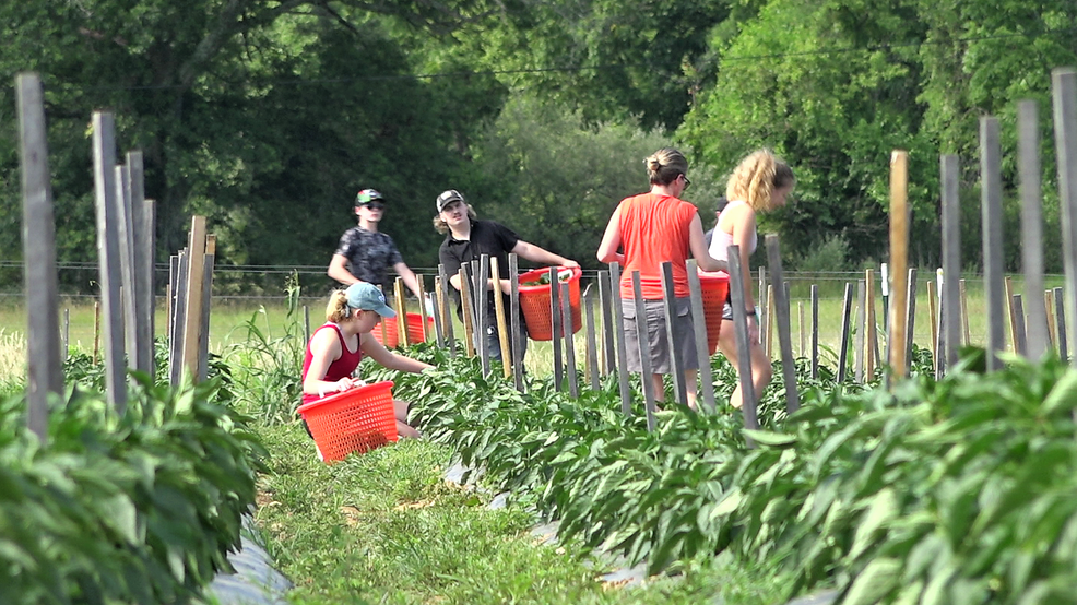 The <a href="/JKCommunityFarm/">JK Community Farm</a> was featured by ABC 7 for becoming a lifeline to thousands in the community experiencing food insecurity. Join #TeamBarbaricum's community mission and #LearnMore about how they ensure everyone has access to healthy food. #WatchNow: wjla.com/news/local/jk-…