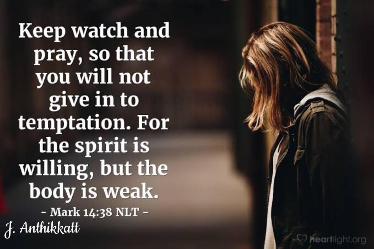 ChandaMoon3's tweet image. 