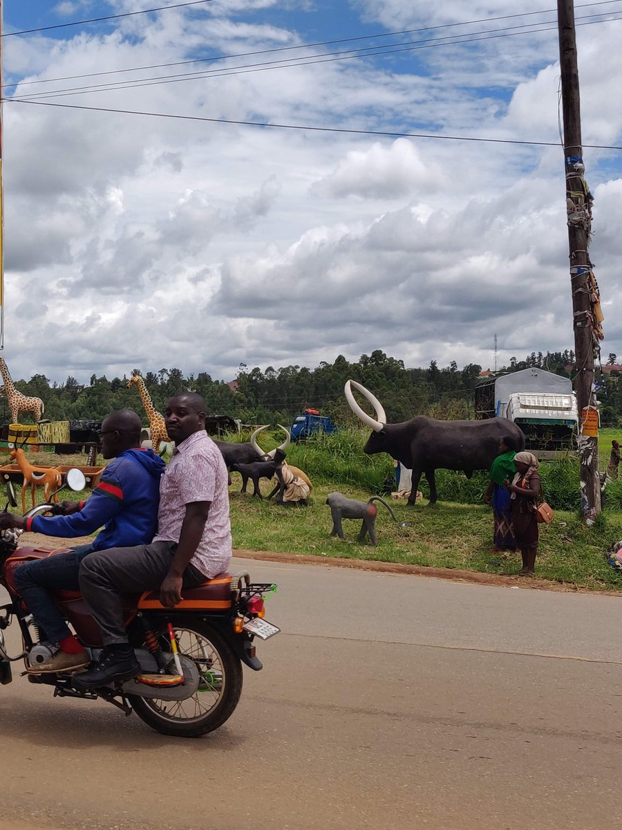 The journey is long but doesn't worry. There are a few stops for breaks and I really need those, I should share travel hack for 6ft plus travelers 