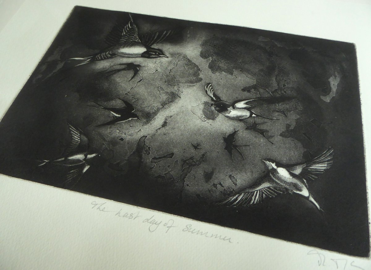 The swallows have fledged from the nest in the barn. Printing this etching today, made a few years ago, but only part of the edition got printed. ' The last day of summer' ( I hope not, but it feels like it here!)  #swallows #etching #aquatint etsy.com/uk/shop/MoiraM…