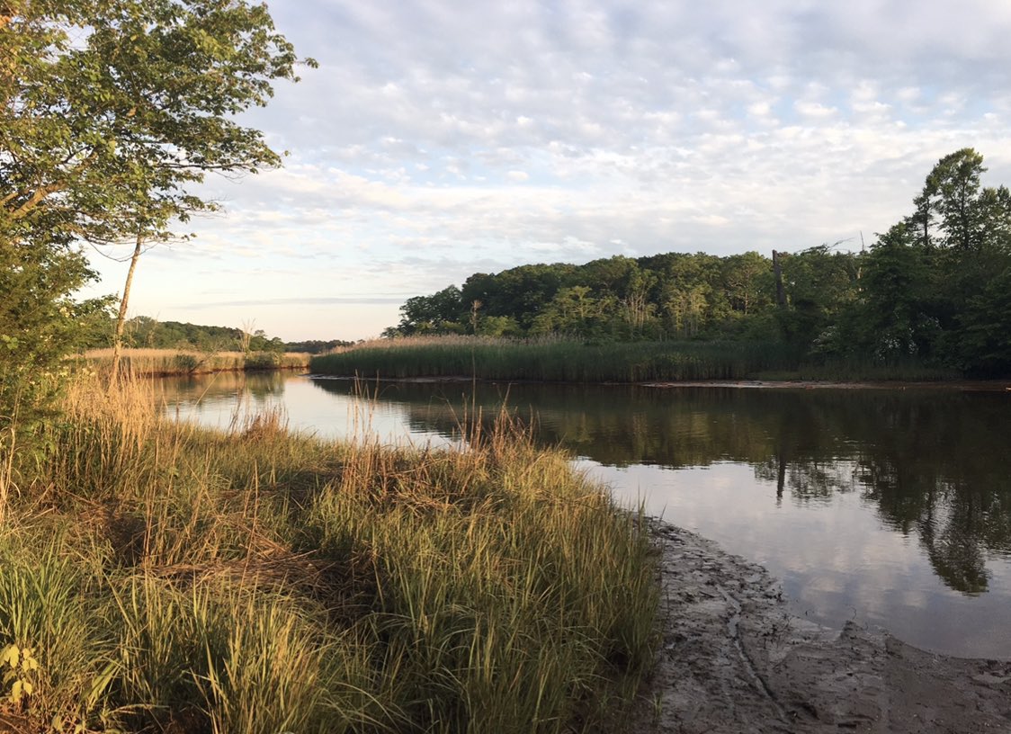 Here’s some non boardwalk/non refinery NJ for ya. Dune beach, an estuary, a trap course in the marshlands and a winery