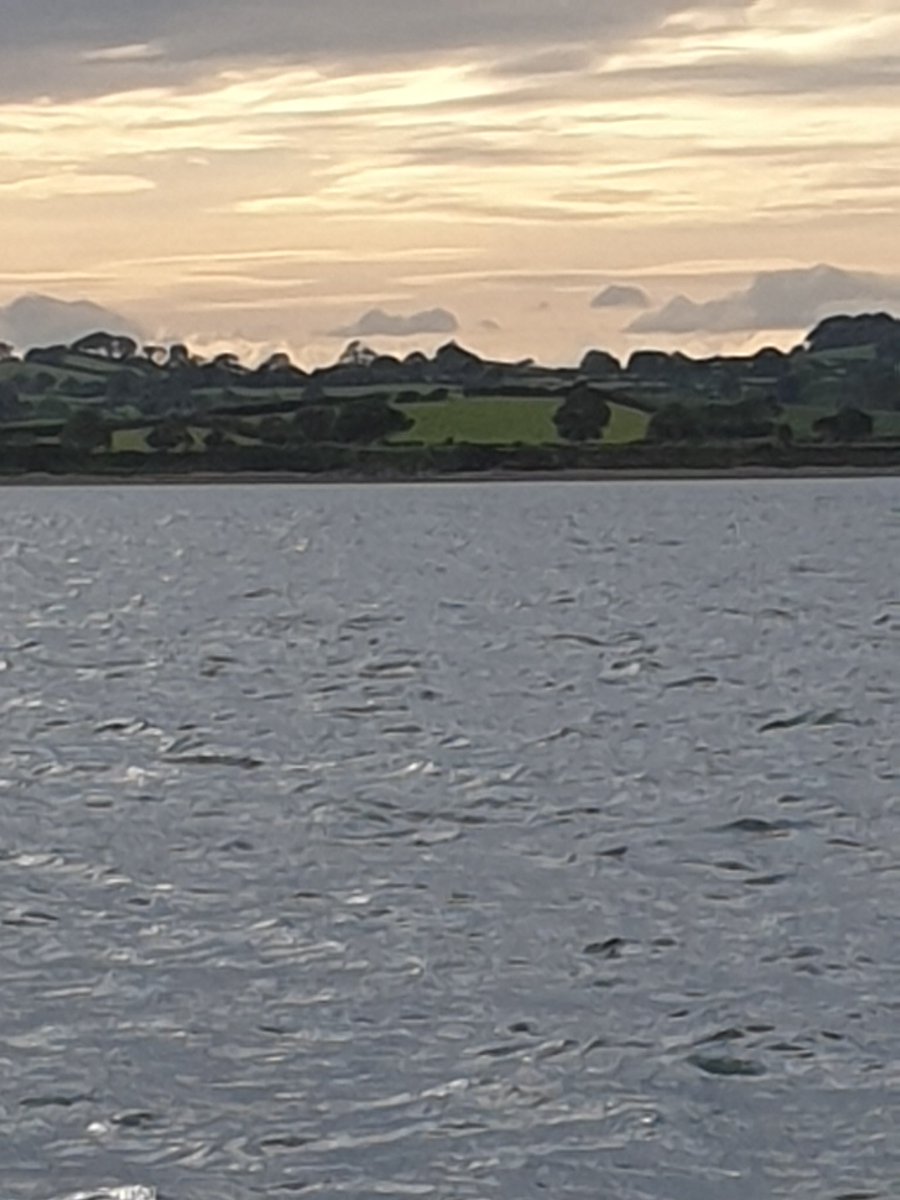Again no room on Strangford ferry, we deserve a better service #strangfordferry #portaferry #fuming