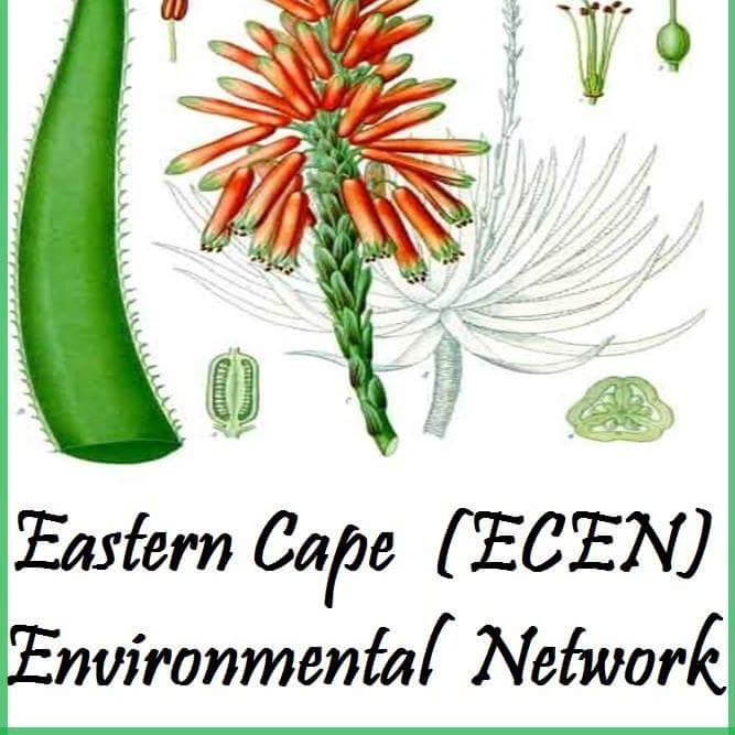 NetworkEastern's tweet photo. #NewProfilePic https://t.co/toAXWRfHUP