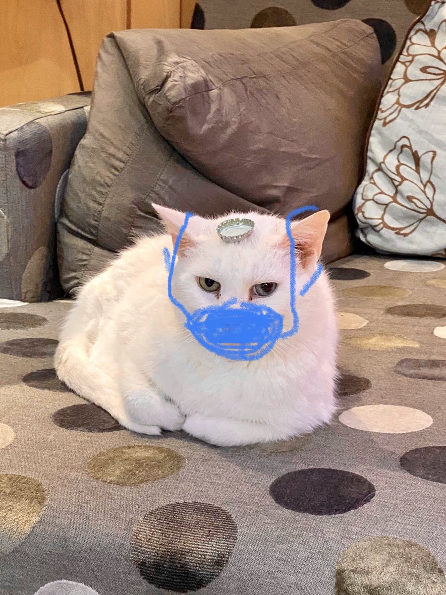 Bijou Boy tweet media