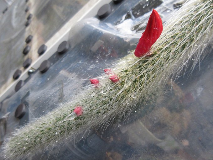 なんかエロイ。しかも名前がヒルデウィンテラ。エロい 