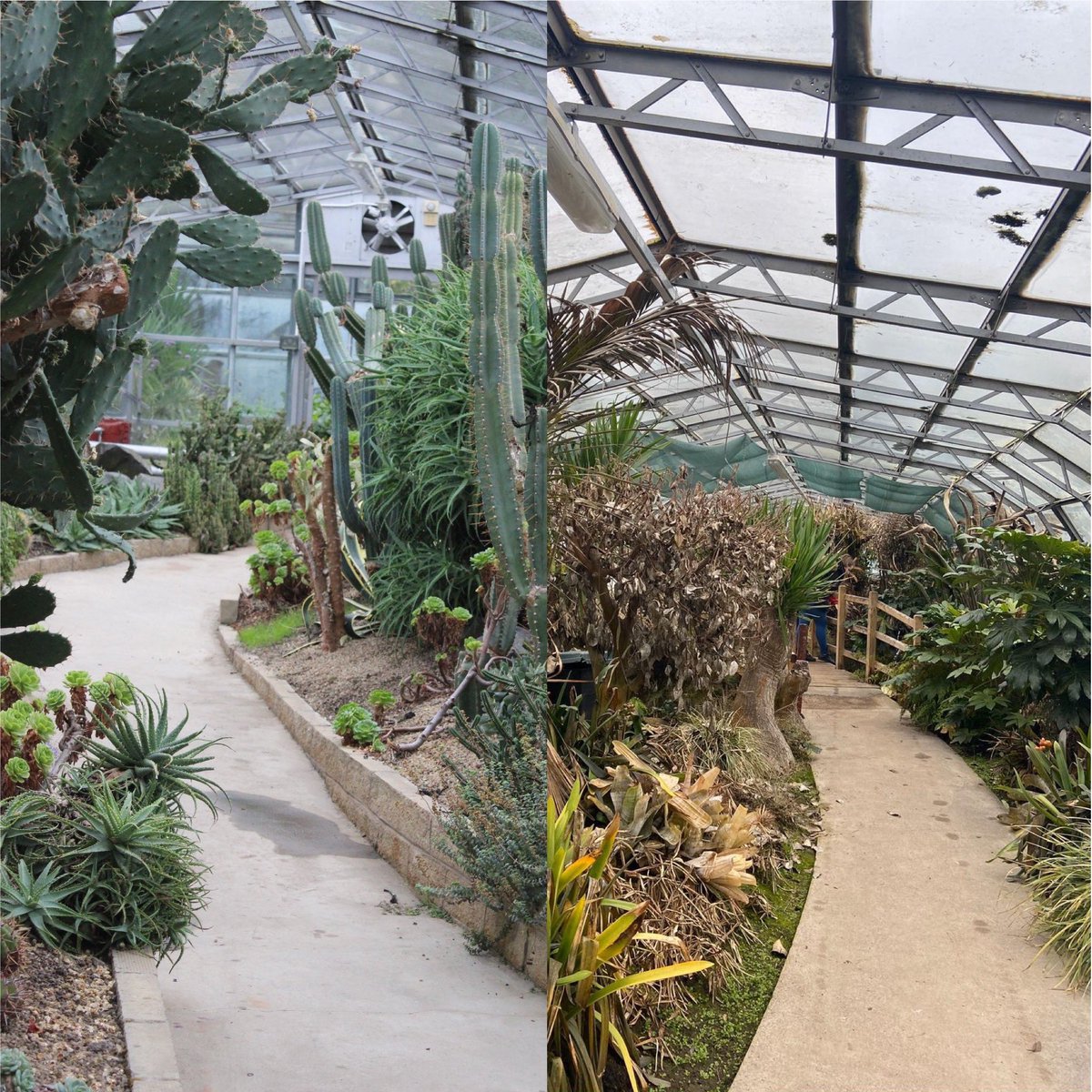 Viewpark Gardens Trust tweet media