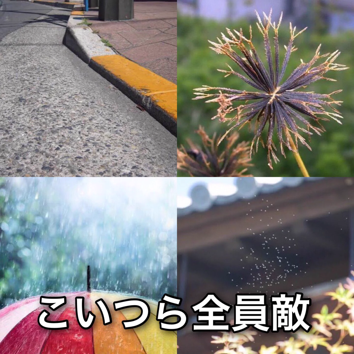 自転車ならでは？自転車通学にしかわからないことあるあるwww