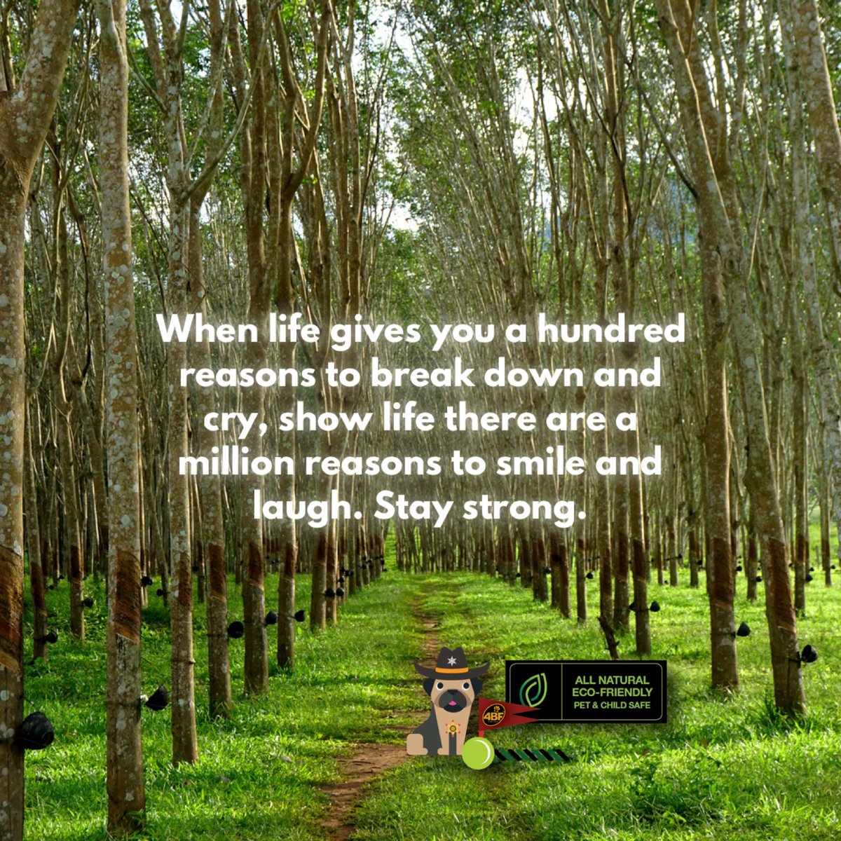 4Bfusa's tweet photo. Stay strong, furiends!  You’ve got this; and our best friends are one of those million reasons to smile &amp; laugh.  Celebrate them. Celebrate your bond.

What motivates you?

https://t.co/kcpmkeaBlq https://t.co/G9MbYR0iCG