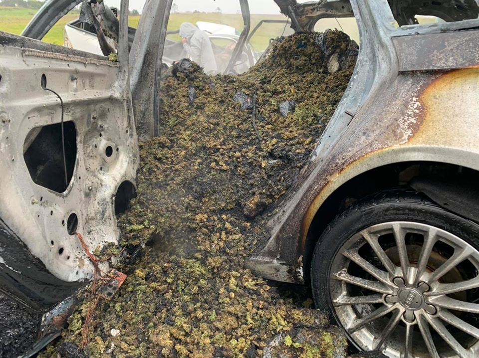 cannabisworld.biz/audi-full-of-c… #smuggling #smugglers #audi