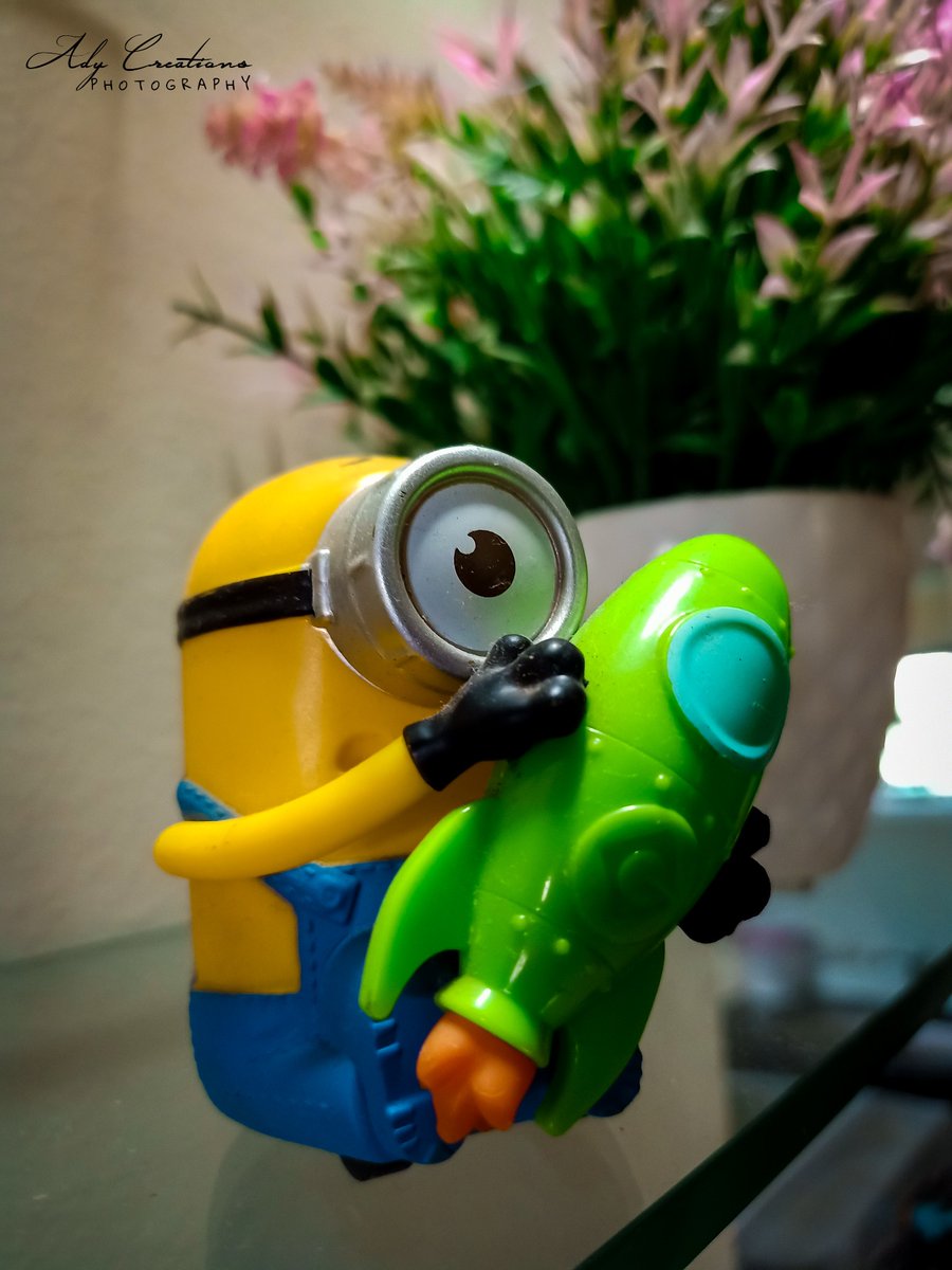 thakur_ady's tweet photo. #photography #macrophotography #snap #minion #home #candid #bestoftheday #picoftheday #photof #Indian #photographer #FolloForFolloBack #likeforlike https://t.co/YAaEuUVIpk
