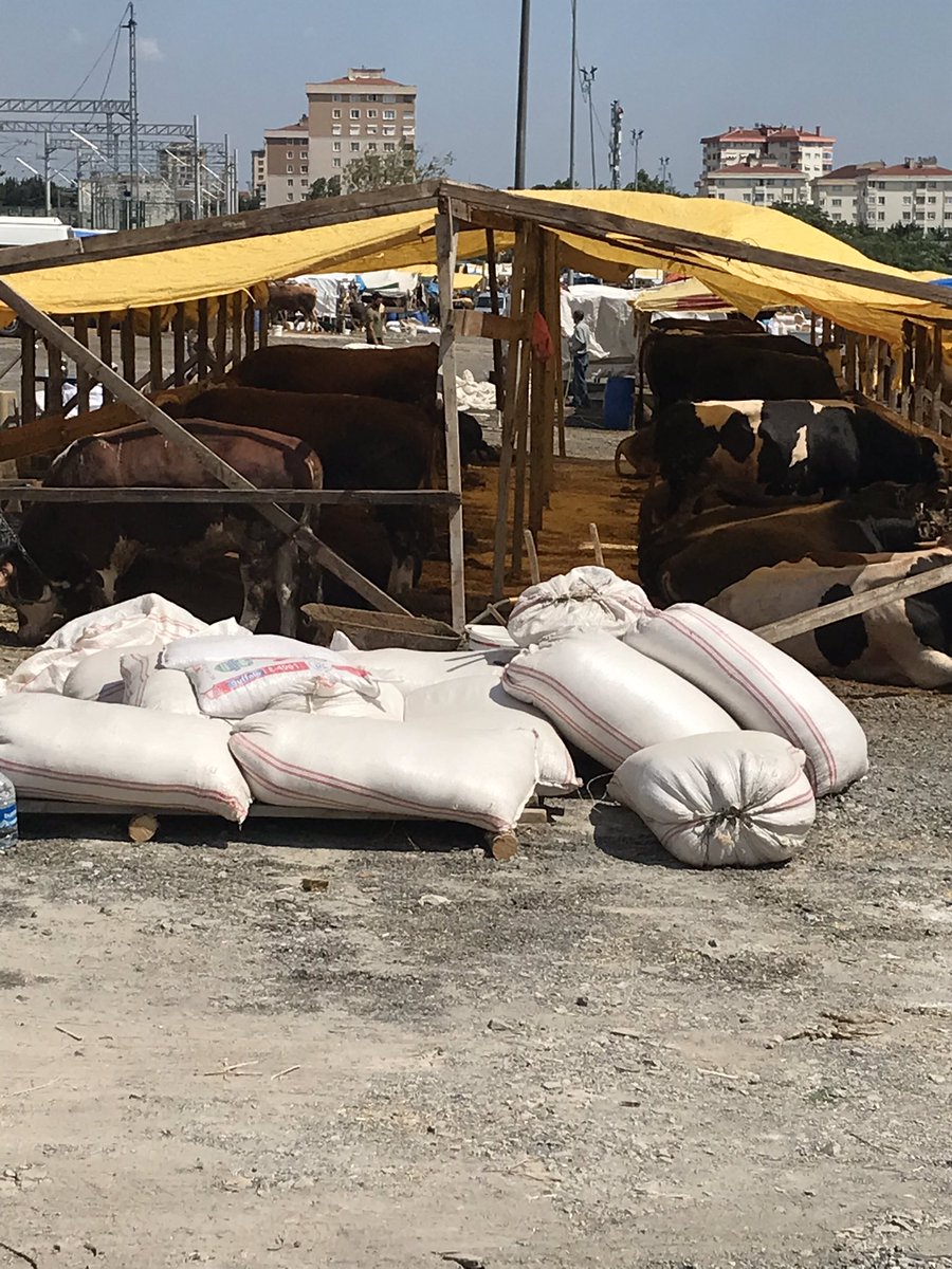 Bebeyim pet center dayım çıkınca ararım.