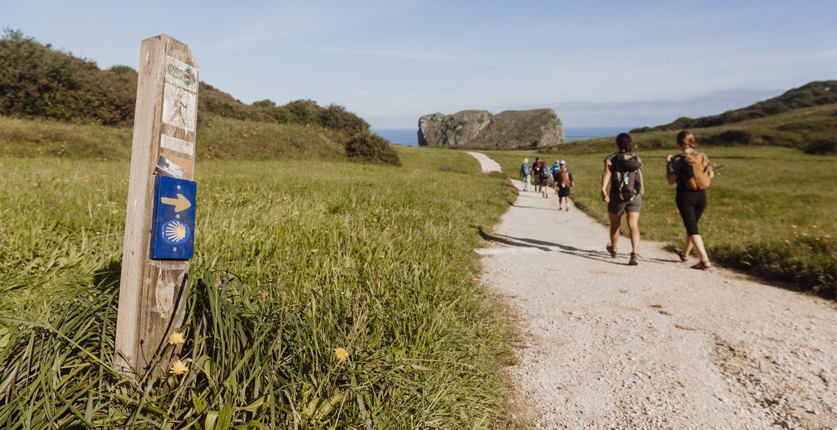 Transy Study Abroad tweet media