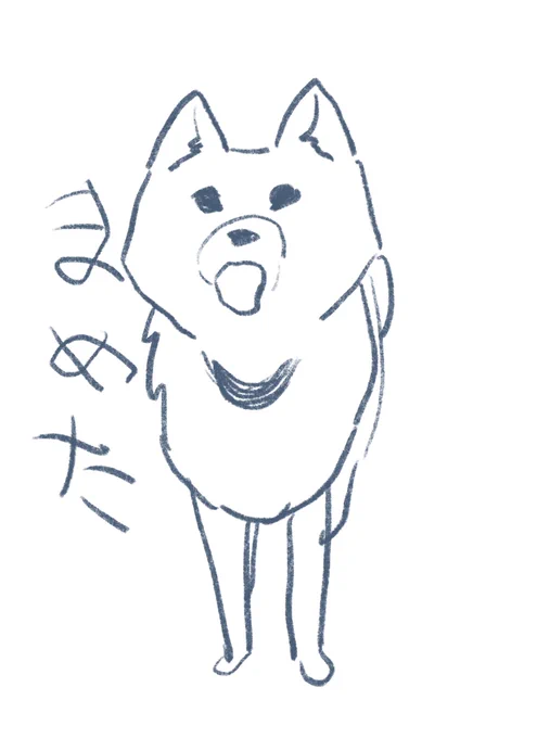 うちの犬の名前 