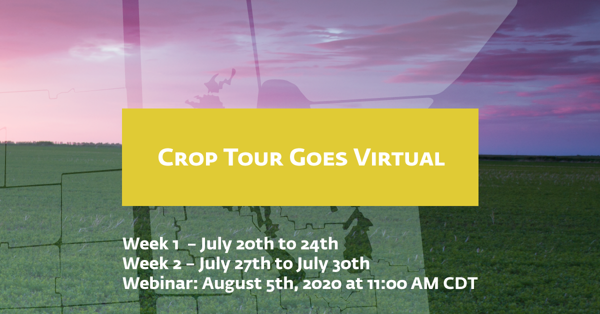 GrainFoxApp's tweet photo. Today kicks off Week 2️⃣ of our virtual Crop Tour!

Follow along and use #FLCropTour20 and #FLintheField. #WestCdnAg #AgChat #CdnAg https://t.co/MOnlTnBvUP https://t.co/f8ZxPZK0zf