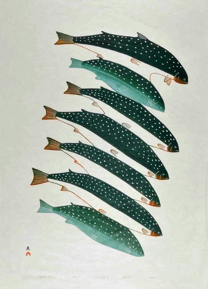 Qikiqtani_Inuit's tweet photo. ᐅᖃᐅᓯᓕᕆᔾᔪᑎᕗᑦ ᐅᓪᓗᒥ 
Word of the day
ᐃᖃᓗᐃᑦ ᐃᖏᕐᕋᔪᑦ
Iqaluit ingirrajut
I-qa-luit i-ngi-rra-jut:
Migrating Fish
(Image: Kakulu Saggiaktok's Migrating Fish)
#Inuktitut #Inuit 
Listen here:
ᓈᓚᒃᓯᐅᒃ ᐅᕙᓂ:
https://t.co/RtSEG7lCyt https://t.co/TUBpWR3oNc
