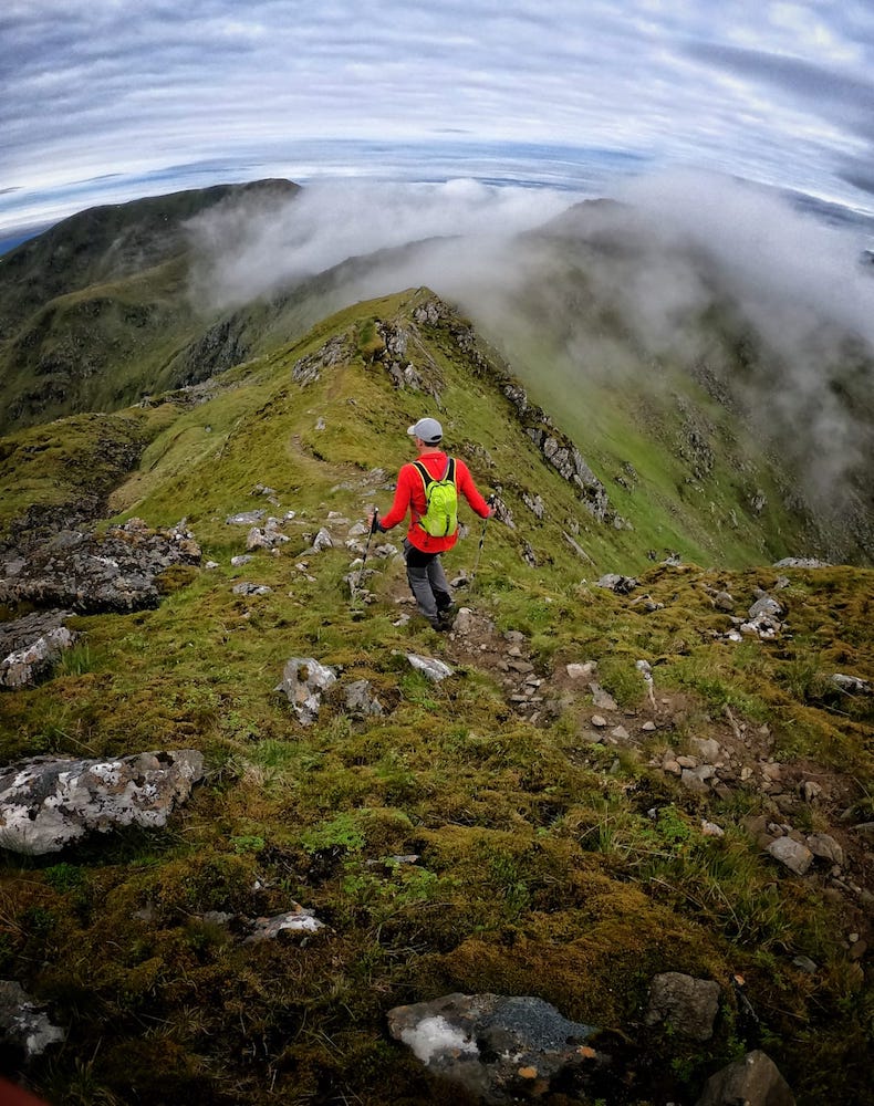 Fiona Russell tweet media