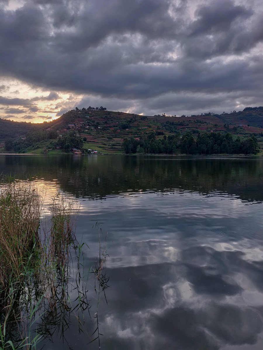 In my language "Nyonyi" is a bird but I don't know why I didn't ask if it is the same and maybe the name of the lake comes from that but to the bird lovers this is paradise. Bird spotting is one of the main activities here with several species around.