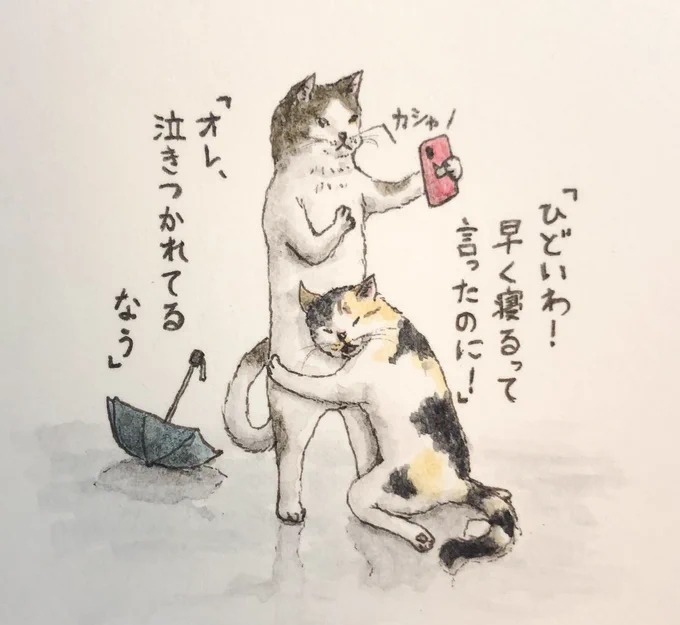 『プロSNS猫』
 #キミとダスキス  #過去絵 