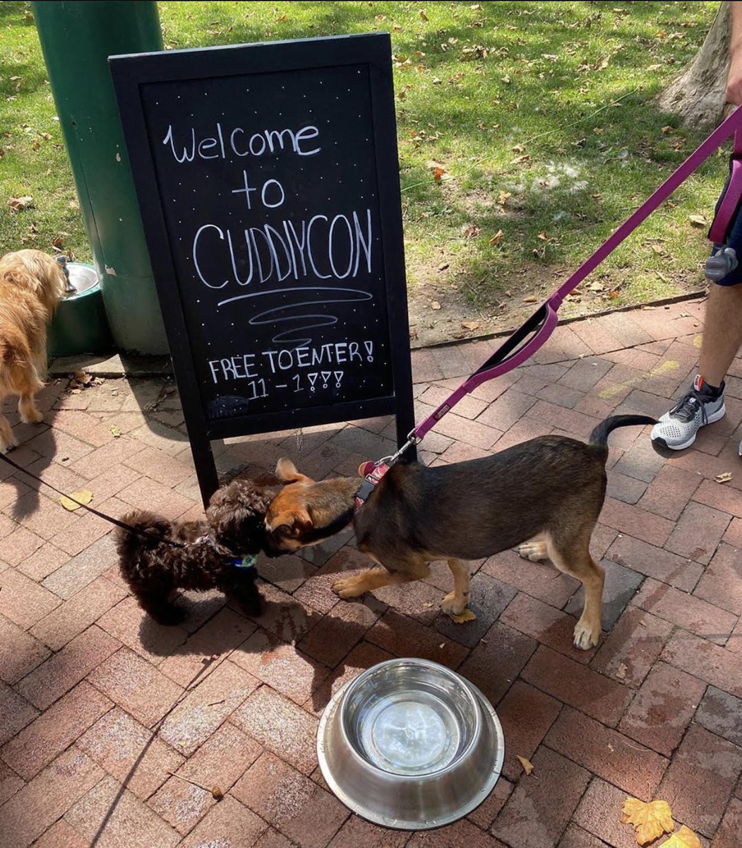 CuddlyCottage's tweet photo. Happy Monday everybody! We hope you had a paw-some weekend and enjoyed the CuddlyCon yesterday! 😁❤️

Thinking of joining the pack? Sign up for a monthly membership today by clicking the link in our bio!

📷@hellsbells313

#thecuddlycottage #doggydaycare #cuddlycon #monday https://t.co/a5kgyh10bn
